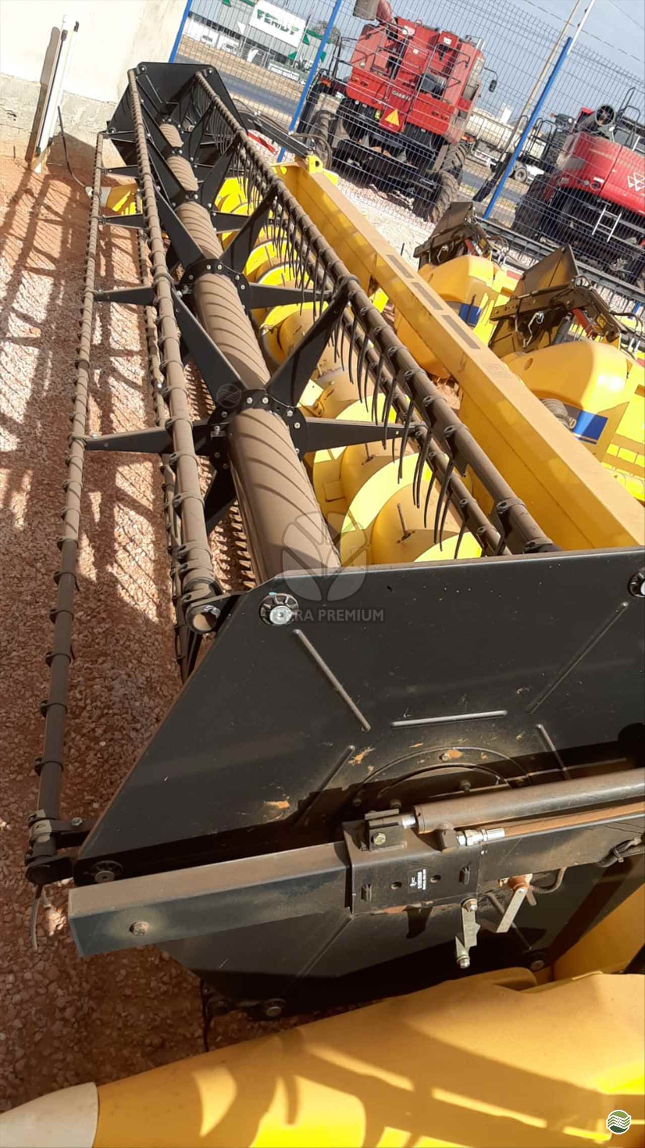 SOJA de Terra Premium